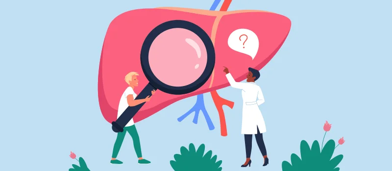 What Do Elevated Liver Enzymes Mean For Your Health 