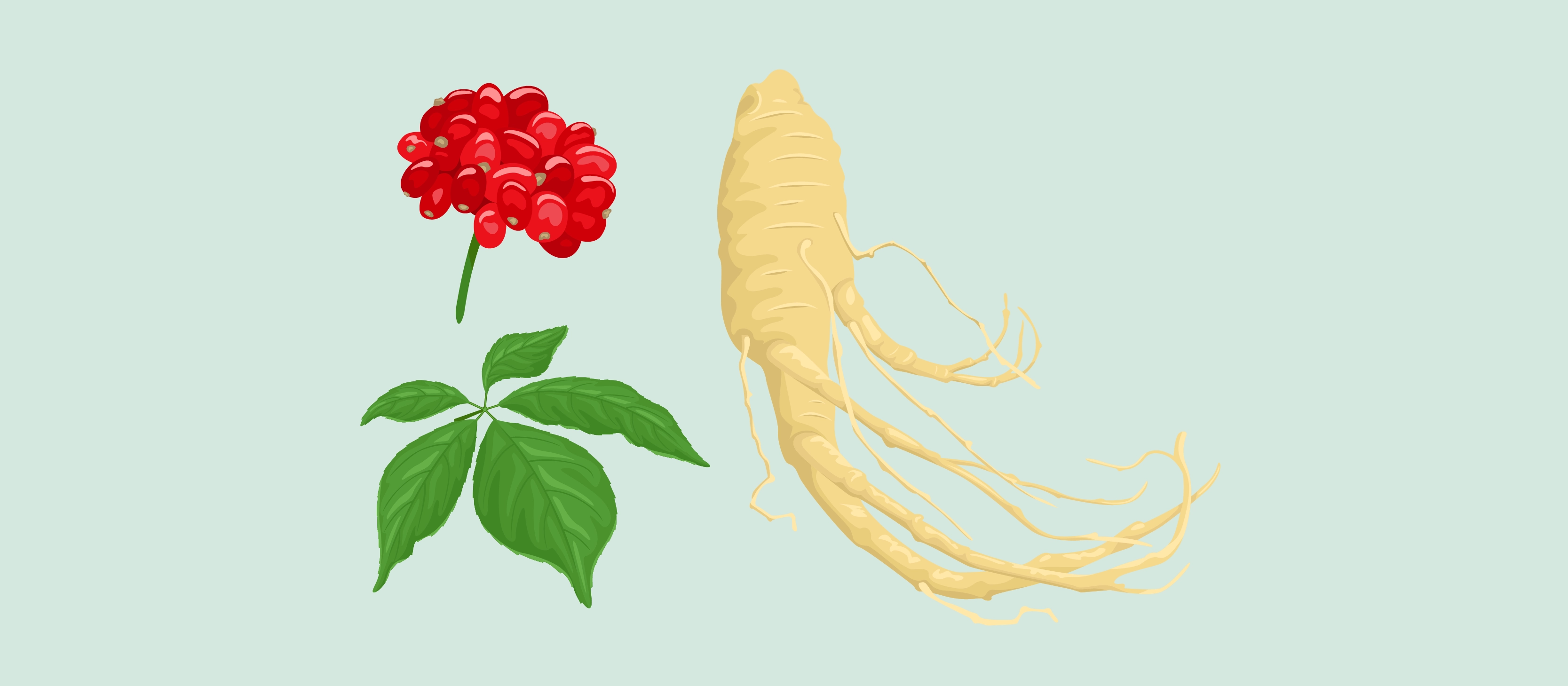 What Are the Health Benefits of Ginseng?