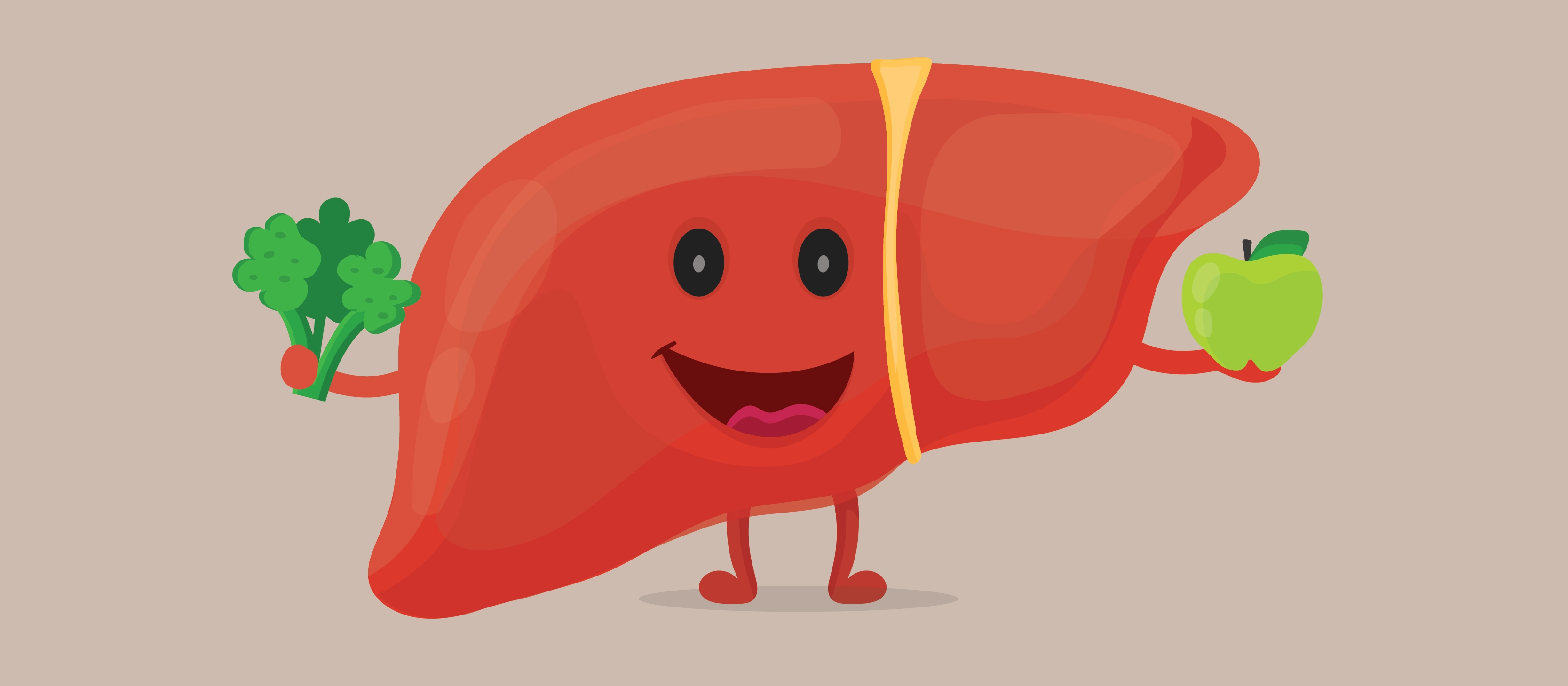 https://cms.buzzrx.com/globalassets/buzzrx/blogs/what-foods-are-good-for-liver-repair.webp